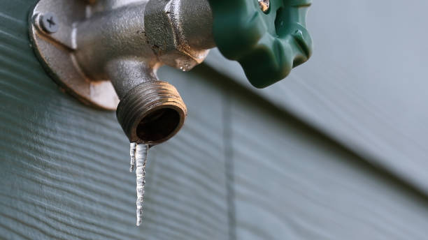 Best Residential Plumbing Services  in North Lakeville, MA